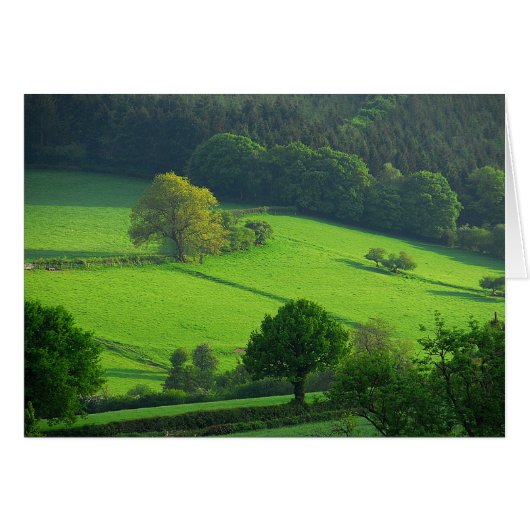 Green Hils Cards (Front Horizontal)