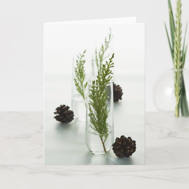 Green Holiday (Front)