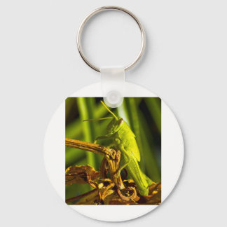 Green Hopper Keychain