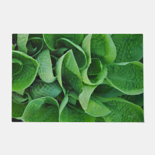 Green hosta leaves doormat