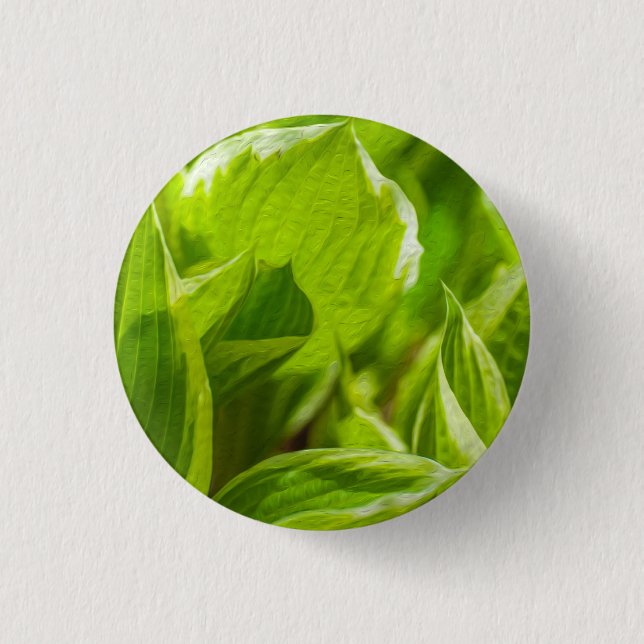 Green Hosta Leaves Pinback Button (Front)