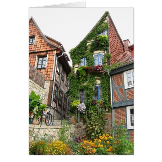 green house effect cards (Front)