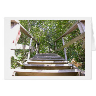 Green House Steps Cards