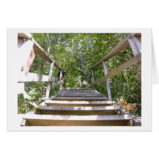 Green House Steps Cards (Front Horizontal)