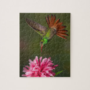 Green hummingbird and flower puzzle