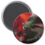 Green Hummingbird On Orange Flower Cust. Magnet at Zazzle