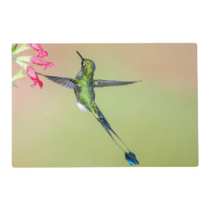 Green Hummingbird with Long Tail Feathers Placemat