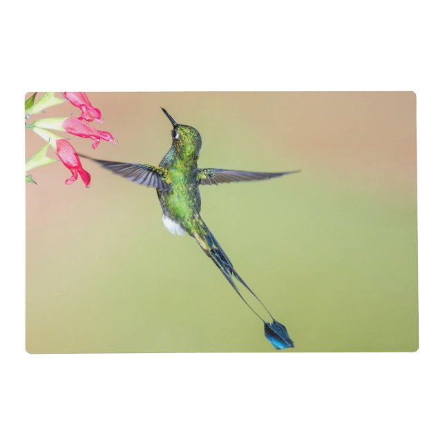 Green Hummingbird with Long Tail Feathers Placemat (Front)