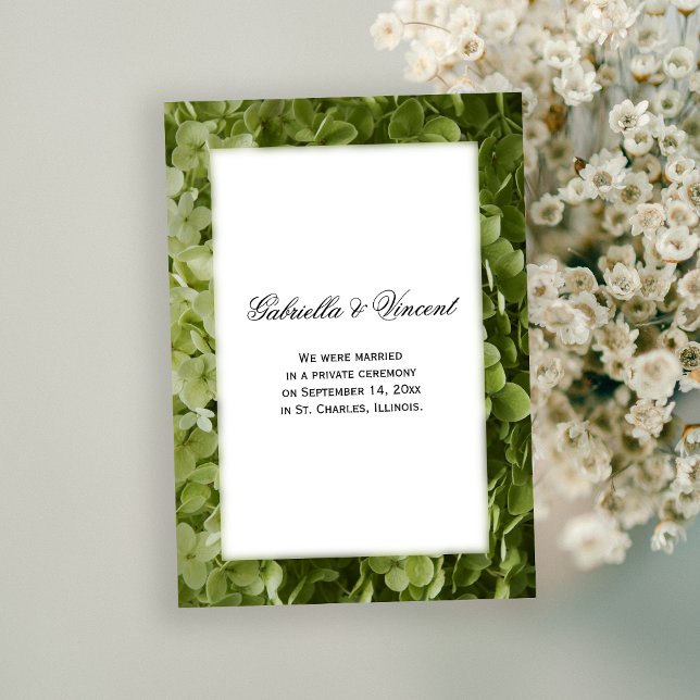 Green Hydrangea Flower Marriage Announcement (Creator Uploaded)