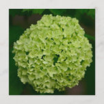 Green Hydrangea Invitations