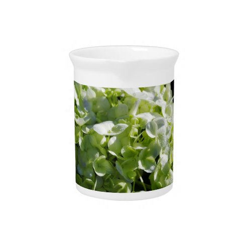 Green Hydrangeas Flowers Beverage Pitcher