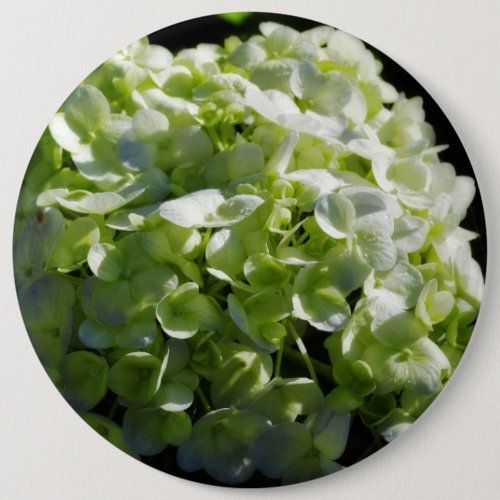 Green Hydrangeas Flowers Pinback Button