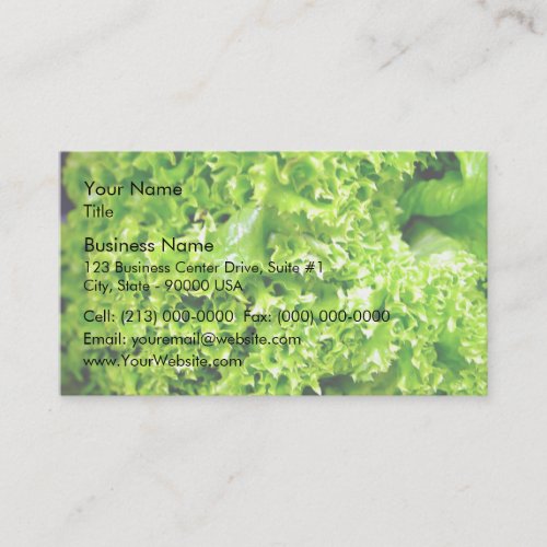 Green Hydroponic lettuce leaves Business Card