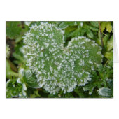 Green Icy Heart (Front Horizontal)