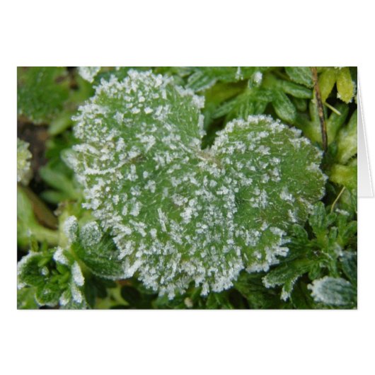 Green Icy Heart Cards (Front Horizontal)