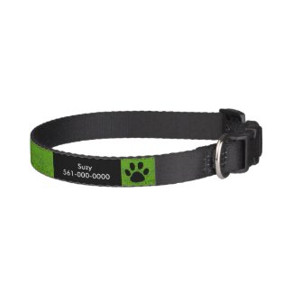 Green IdentificationDog Collar