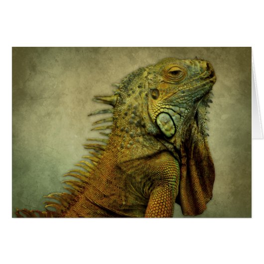 Green Iguana Cards (Front Horizontal)