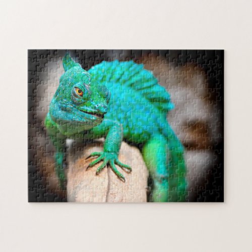 Green Iguana Close_up Jigsaw Puzzle