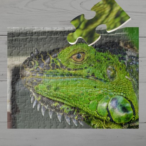 Green Iguana Close_up Photographic Jigsaw Puzzle