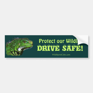 Green Iguana Collection Bumper Sticker