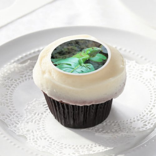 Green iguana edible frosting rounds