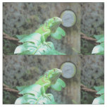 Green iguana fabric