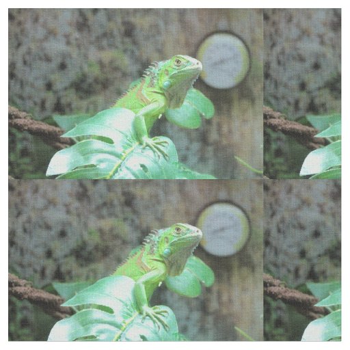 Green iguana fabric