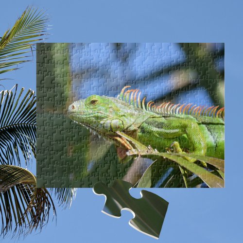 Green Iguana in a Palm Tree Photographic Jigsaw Puzzle