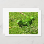 Green Iguana in Grass (Front/Back)