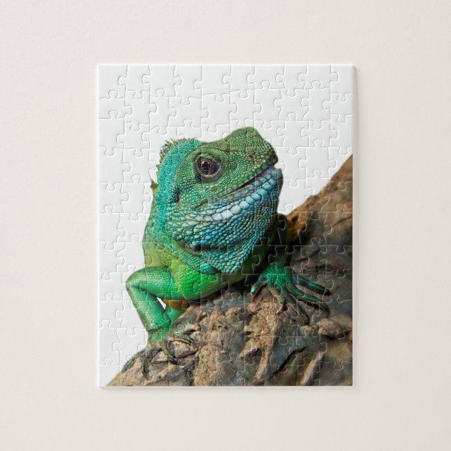 Green iguana jigsaw puzzle (Vertical)