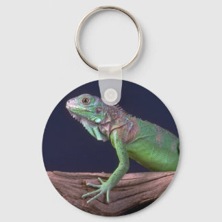 Green iguana keychain