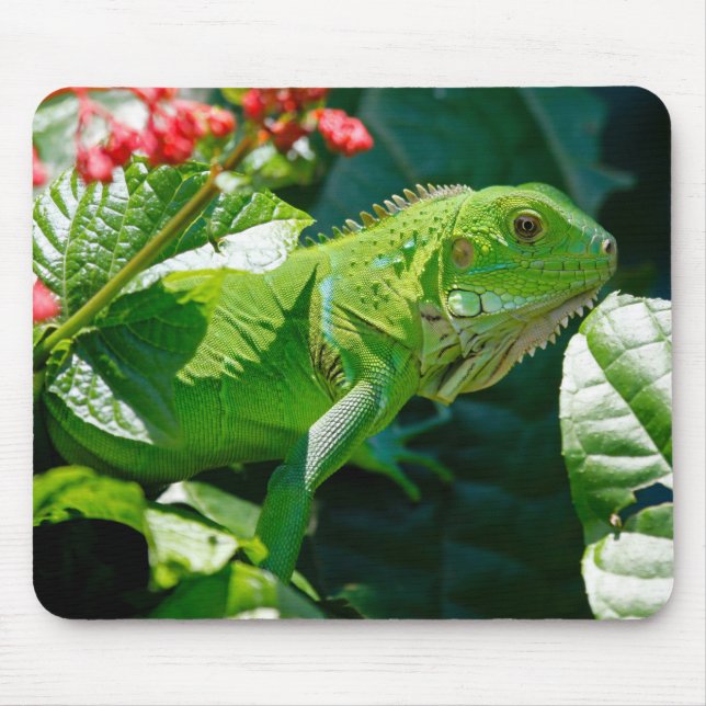 Green Iguana Lizard Mouse Pad (Front)