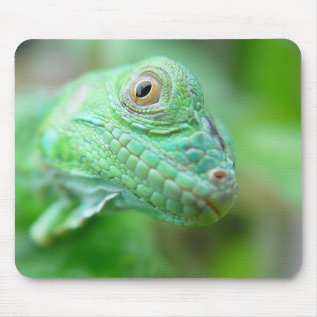 Green Iguana Lizard Reptile On Leaf Mousepad (Front)