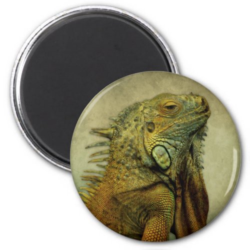 Green Iguana Magnet