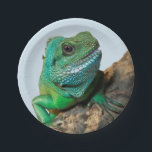 Green iguana paper plate<br><div class="desc">The green iguana (Iguana iguana), also known as the American iguana, is a large, arboreal, mostly herbivorous species of lizard. This is largest lizards in the Americas, averaging around 6.5 feet long and weighing about 11 pounds. They are also among the most popular reptile pets in the United States. Iguanas...</div>