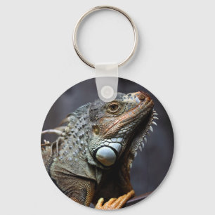 Green iguana portrait keychain