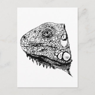 Green iguana postcard