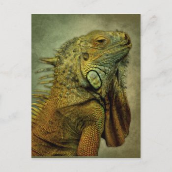 Green Iguana Postcard by AleenaDesign at Zazzle