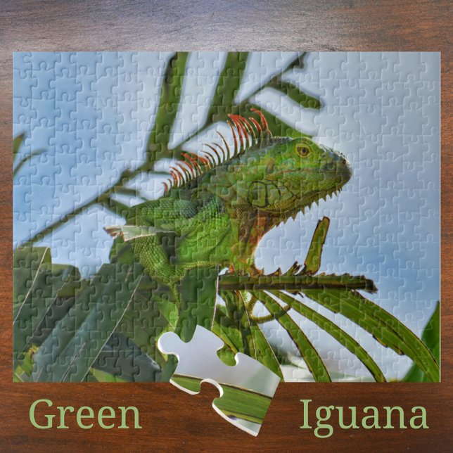 Green Iguana Reptile in the Wild Photographic Jigsaw Puzzle (Creator Uploaded)