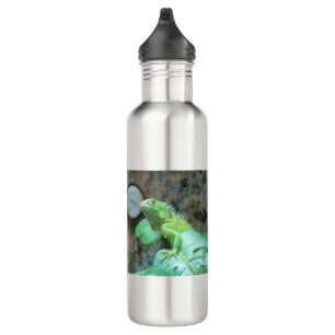 Green iguana stainless steel water bottle