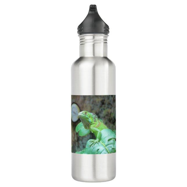 Green iguana stainless steel water bottle (Right)