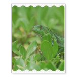 Green Iguana Temporary Tattoos