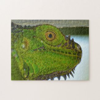 Green Iguana Up Close and Personal Photographic