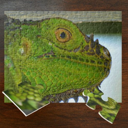 Green Iguana Up Close and Personal Photographic Jigsaw Puzzle