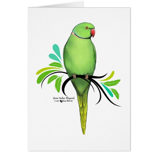 Green Indian Ringneck Parrot Cards (Front)
