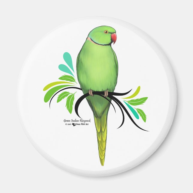 Green Indian Ringneck Parrot Magnet (Front)