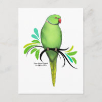 Green Indian Ringneck Parrot