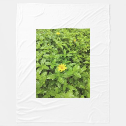 Green into Sun flower Fleece Blankets 