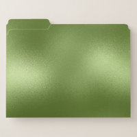 Minimalistic Iridescent Background Modern Monogram File Folder