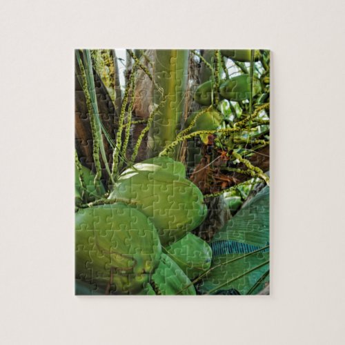 Green Island Coconuts Palm Tree Jigsaw Puzzle
